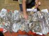 OCCY OCCY OCCY 23 kg!!!